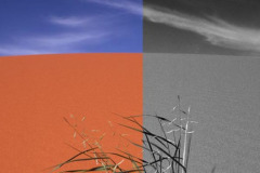 Simpson DesertSimpson Desert Simpson DesertSimpson Desert