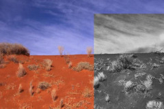 Simpson DesertSimpson Desert Simpson DesertSimpson Desert