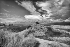 thumbs_28995-BBD-093A