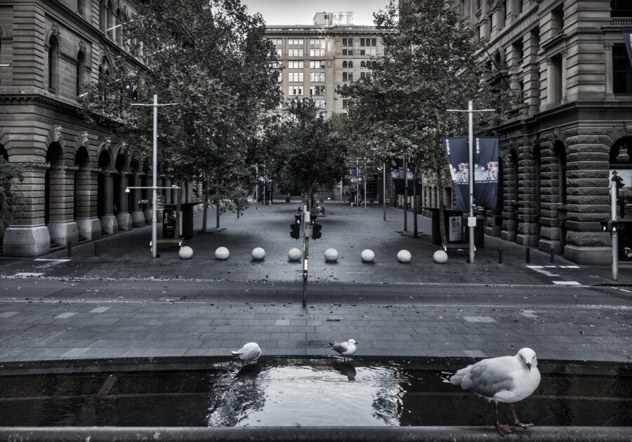 Sydney CBD in Lockdown #12